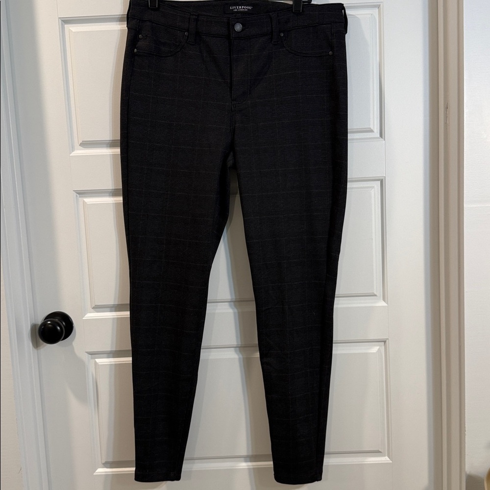 Liverpool Madonna Skinny Pant size 14/32